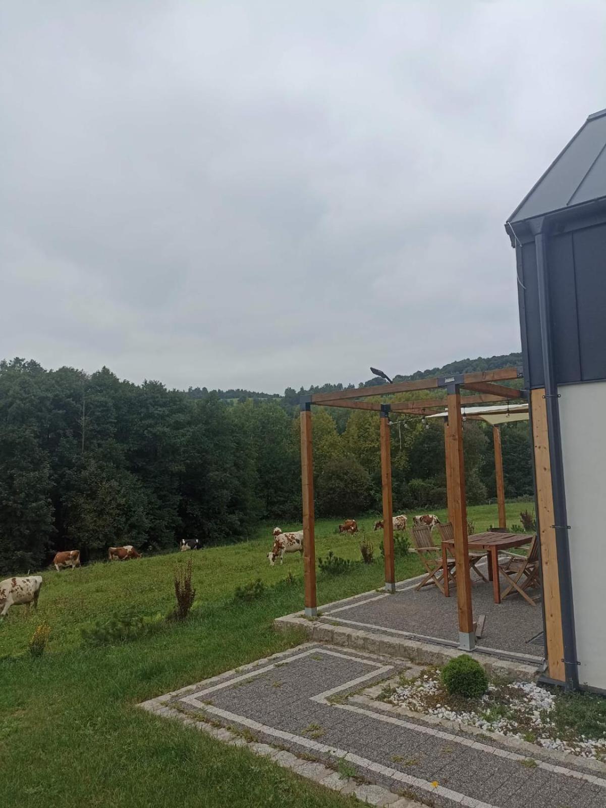 Maraska Holiday House Kamienna Gora Exterior foto
